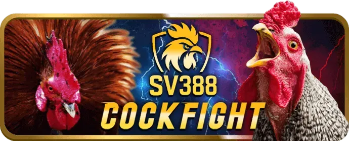Ưu đãi và khuyến mãi độc quyền VIP Vibet